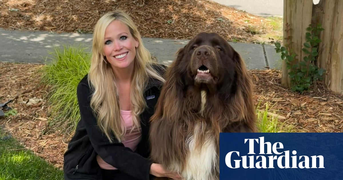 The pet I’ll never forget: Chewy the dog, who loves gardening – and saving lives