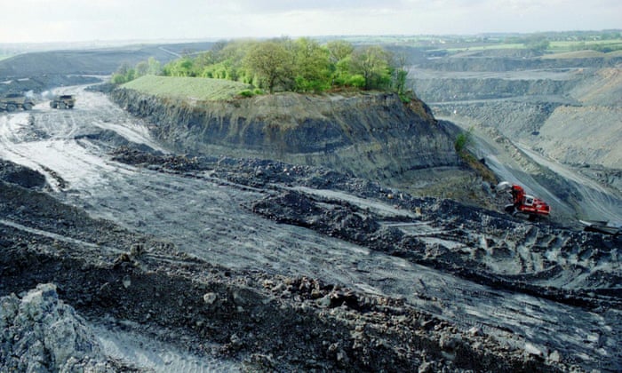 How millions of trees brought a broken landscape back to life 1500