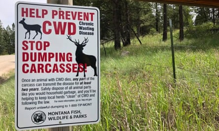 An information sign next to a forest titled: ‘Help prevent CWD’ and ‘Stop dumping carcasses’