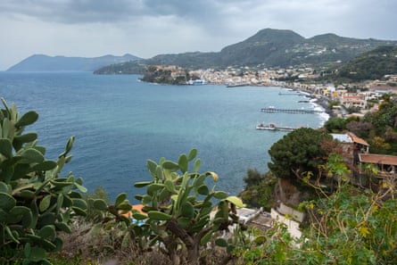 View of a town by seashore from hillside with prickly pear in foreground