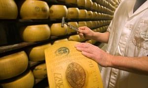 Tapping a parmigiano-reggiano cheese wheel
