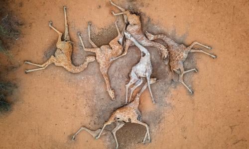 So what has the rest of the world promised to do about climate change? | Environment | The Guardian