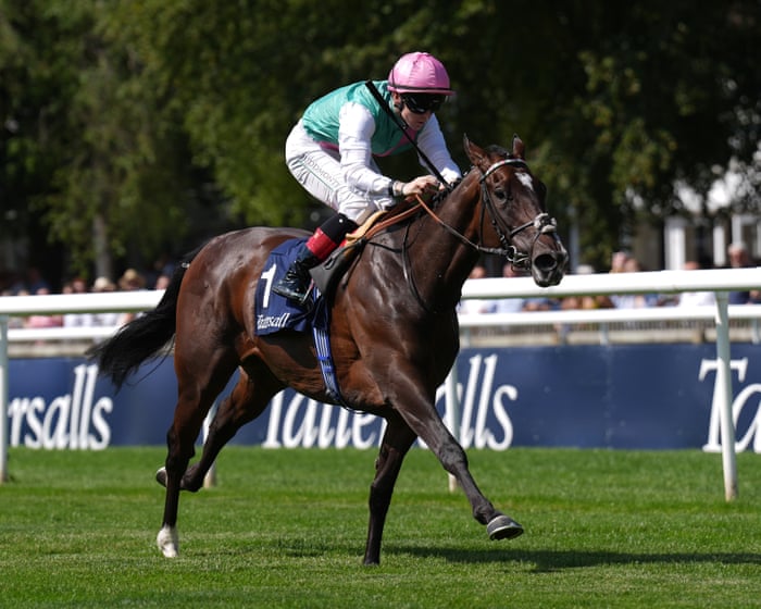 Odds-on favourite Precise struck down by Blue Bolt in Falmouth Stakes