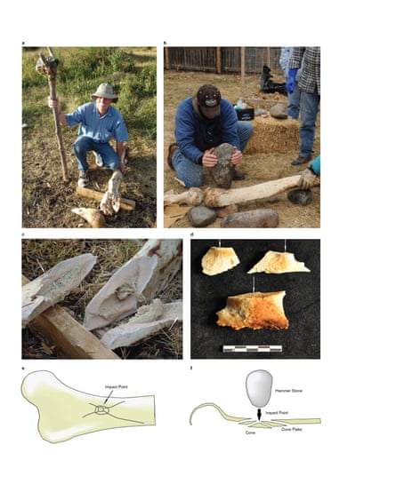 Using leg bone used from an elephant that had recently died of natural causes, a breakage experiment was carried out in an attempt to determine the kinds of breakage patterns that might result from hammerstone percussion.