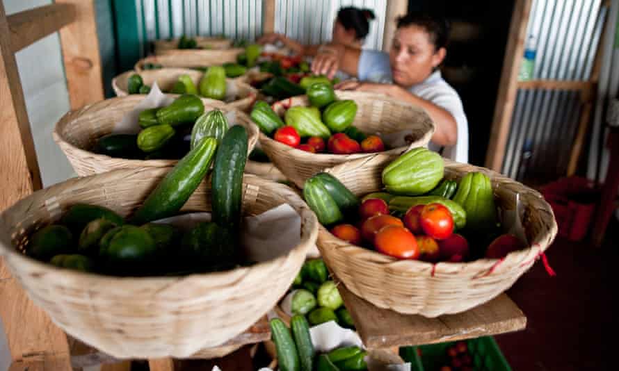 Members of the "Canasta Campesina" (Farmers Basket) in Comasagua, El Salvador
