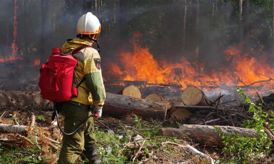 A worker helps battle a wildfire in the taiga forests of Siberia.