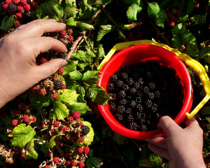 Nine eco-minded gifts that actually make a difference