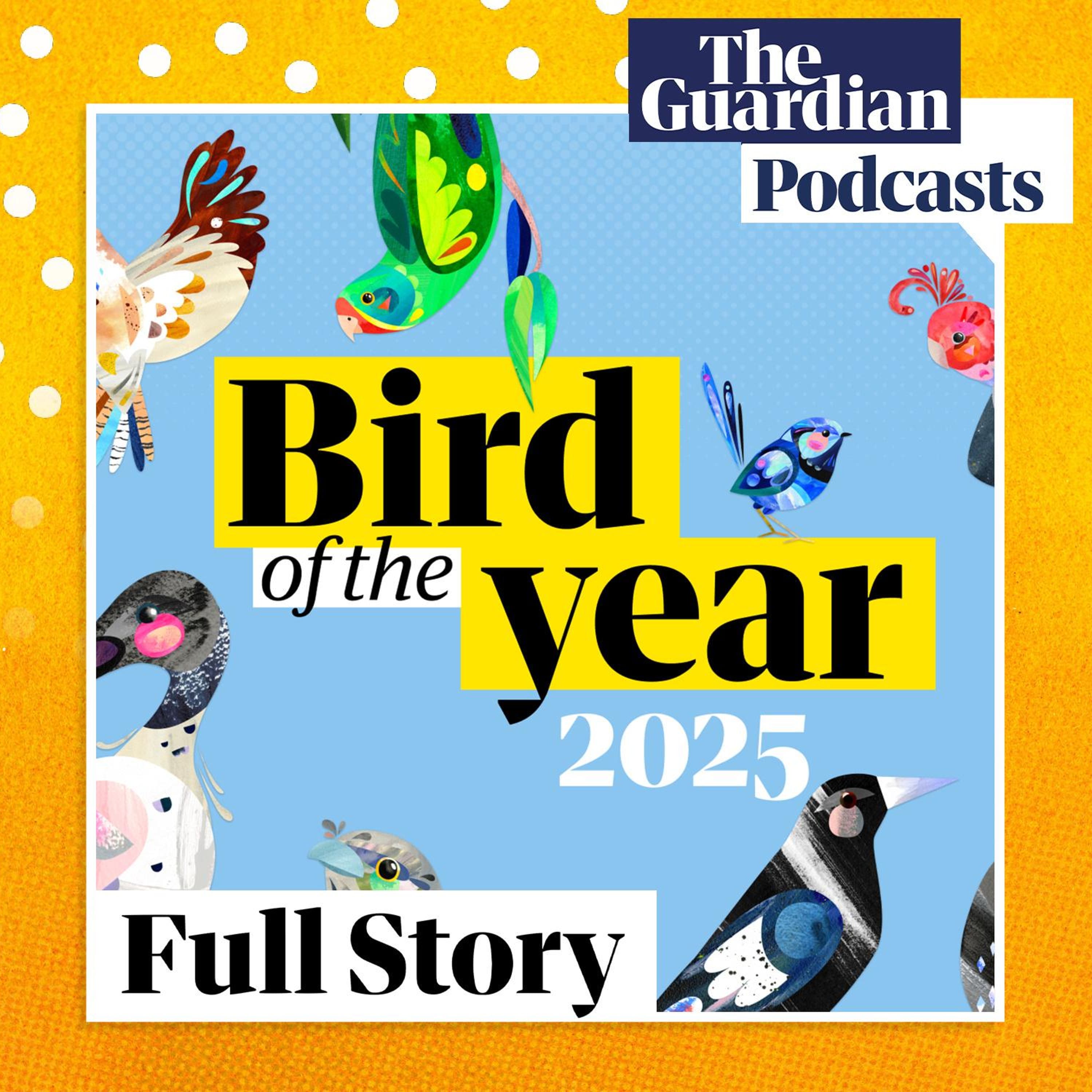 Who will take the trophy in bird of the year 2025? Who will take the trophy in bird of the year 2025?