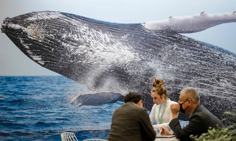 Participants speak beside a whale picture during COP15 in Montreal, Quebec.