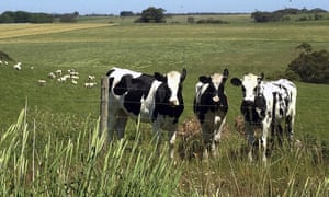 The agriculture minister, Barnaby Joyce, says, ‘Our dairy farmers deserve fair returns at the farm gate.’