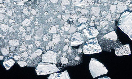 Satellite image of harp seals on ice, east of Greenland, photographed from a height of 600 km.
