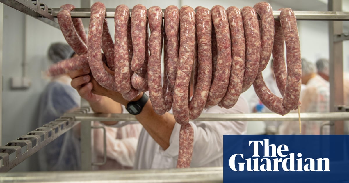 Low pay, long hours, broken dreams: working at Europe’s biggest meat exporter