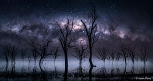 A dead tree stands in fog as the Milky Way lines up horizontally across the night sky