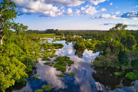 A boat seen on a river amid rainforest