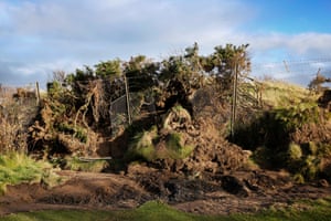 Bulldozed bushes