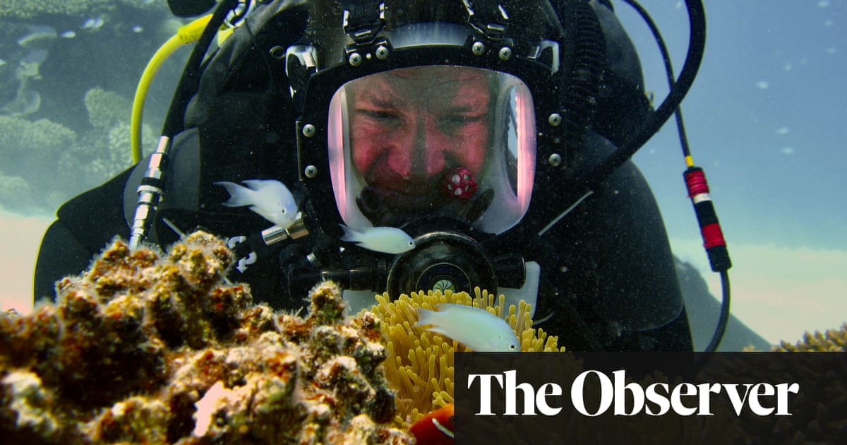 Scientists’ experiment is ‘beacon of hope’ for coral reefs on brink of global collapse | Coral | The Guardian