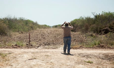 A man puts his hands to his head in apparent despair as he looks at a strip of bare earth through the scrub forest