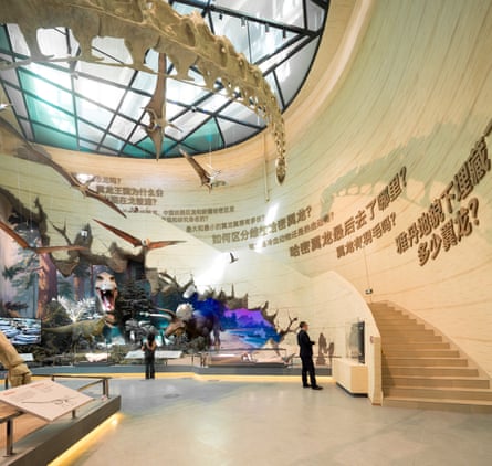 A set of stairs with several dinosaur skeletons next to it