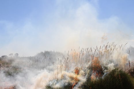 Smoke rises from a fire management burn in the Katiti Petermann Indigenous protected area