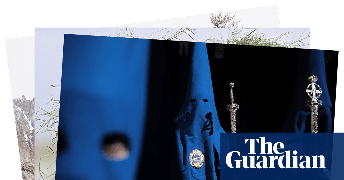 A Holy Week procession, white pelicans and apricot blossoms: photos of the day