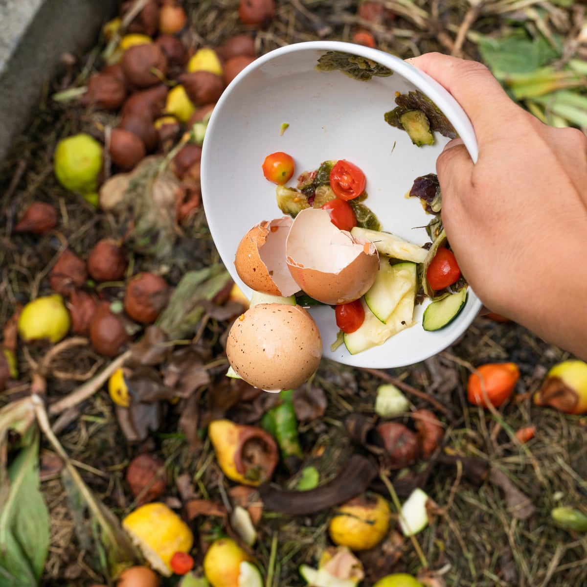 What's the best way to start composting? | Consumer affairs | The Guardian