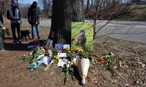 Flowers, cards, notes, and drawings lie next to an oak tree in New York City’s Central Park as a memorial site for Flaco the owl.
