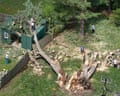 People work around a large tree fallen on a green shed.
