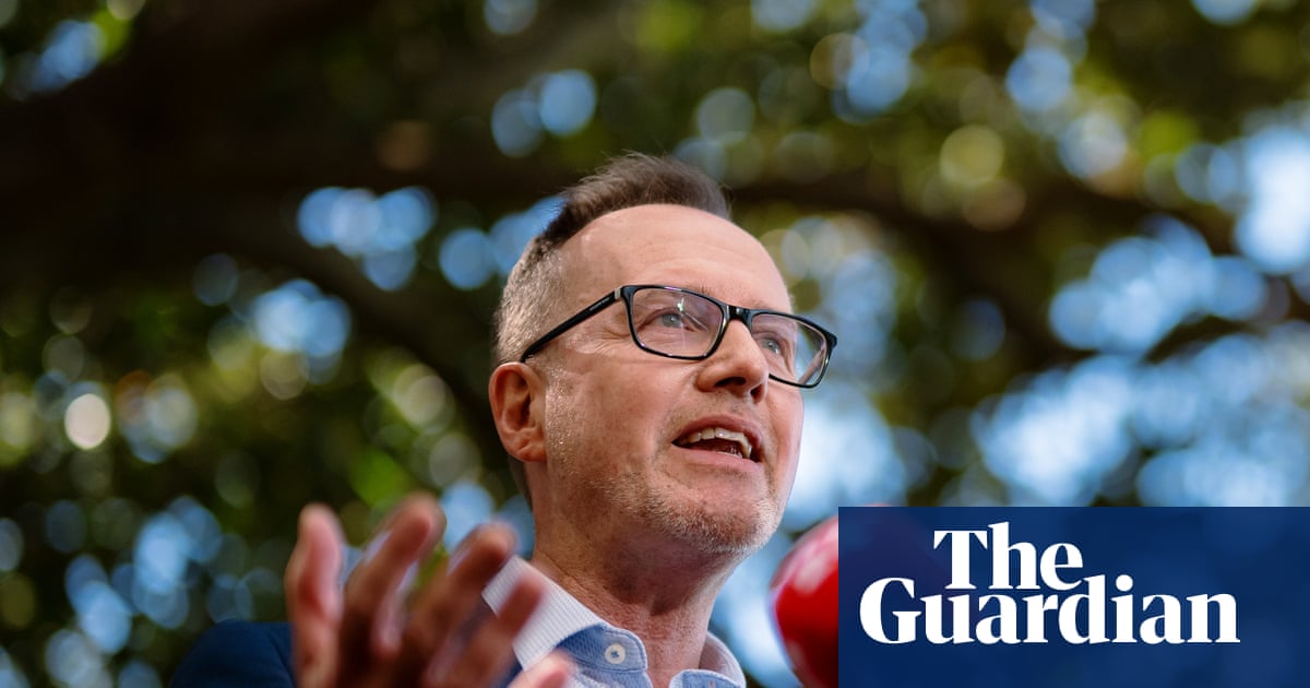 David Shoebridge wants the Greens to ‘seize this moment’. Is his more combative style the answer?