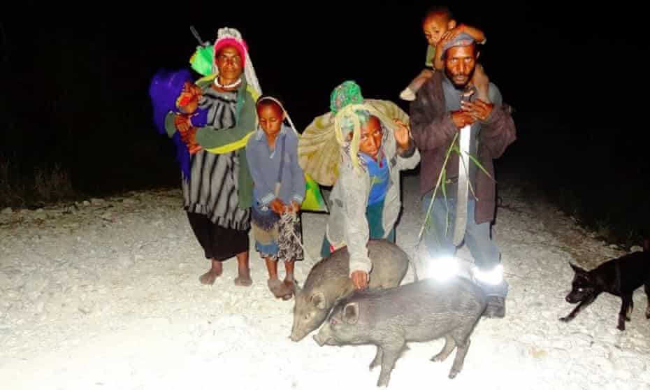 A family leaves their high altitude village of Kandep in Enga Province, Papua New Guinea. They are walking with their pigs and dog to stay with relatives in a lower altitude and less drought effected community. 