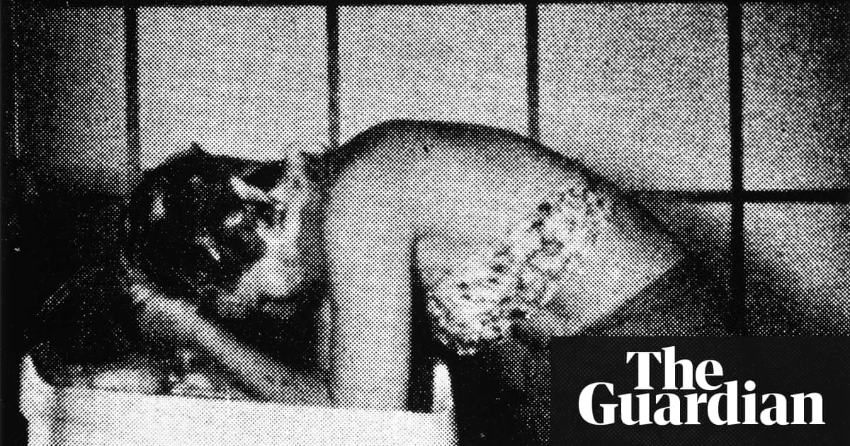 Snatched From The Fire The Photos Daido Moriyama Rescued