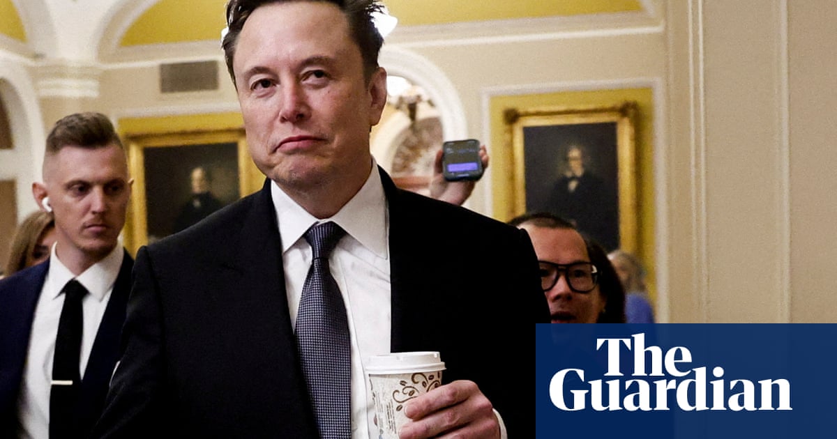 Hooray! A new year gift from Elon Musk | Brief letters