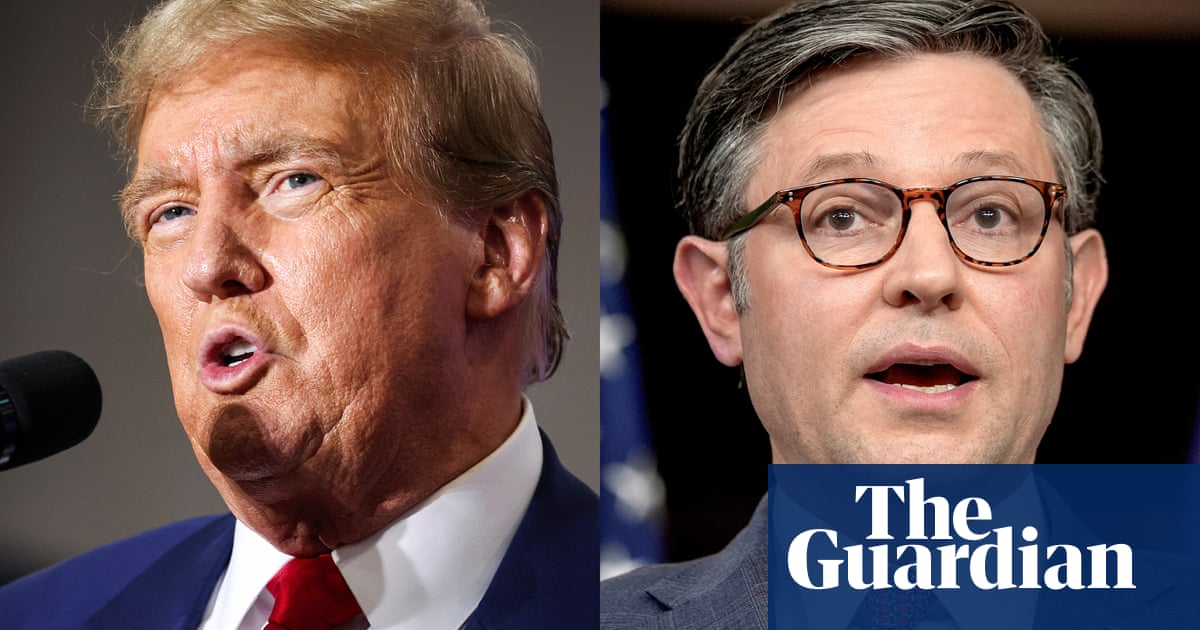 Trump and Mike Johnson push for redundant ban on non-citizens voting Trump and Mike Johnson push for redundant ban on non-citizens voting