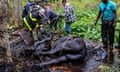 Emergency workers rescue a horse that was stuck in mud in a Connecticut forest on 12 May 2024.
