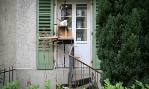 Cat on cat ladder outside building