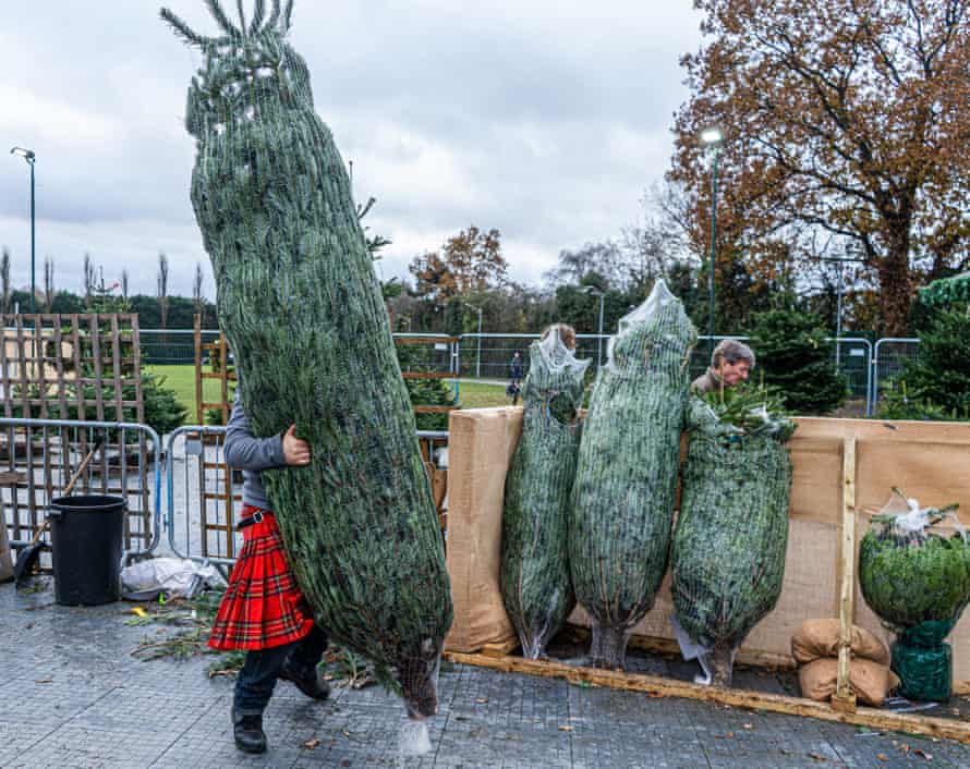 A staff member carries a netted Christmas tree for a customer in Wimbledon, London