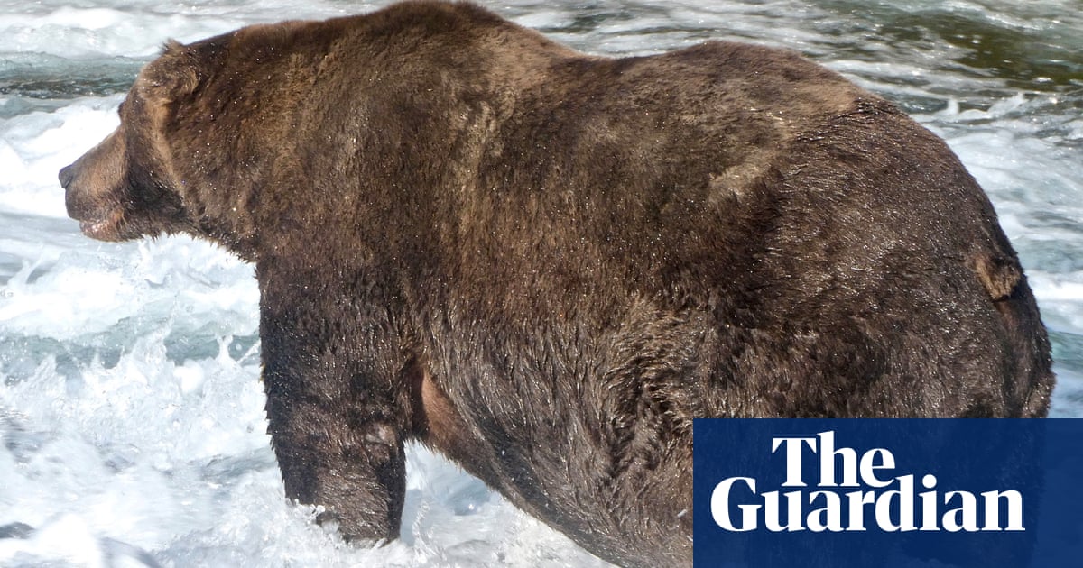 3455.jpg?width=1200&height=630&quality=8