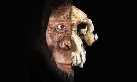 Skull of humankind's oldest-known ancestor discovered | Evolution | The Guardian