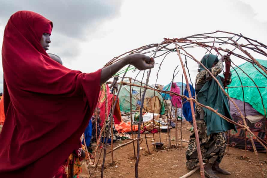 making the frame for a shelter out of flexible branches