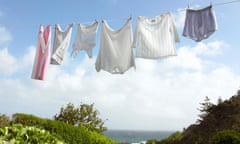 Laundry drying on washing line in garden, low angle view