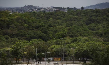 Rio F1 racetrack plans add fuel to Brazil deforestation row
