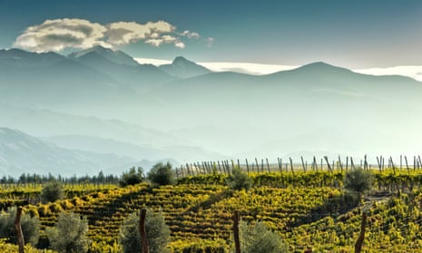 More than just malbec: a vineyard at foot of the Andes in Mendoza, Argentina.