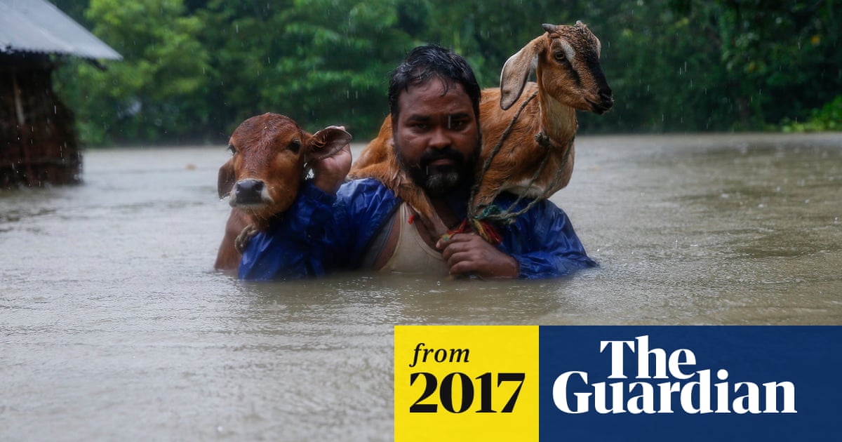 Floods and devastation in India, Nepal and Bangladesh – in pictures |  Global development | The Guardian
