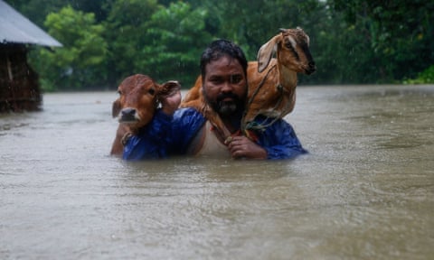A man carries a cow and a goat as he moves to safer ground in Nepal’s Saptari district.