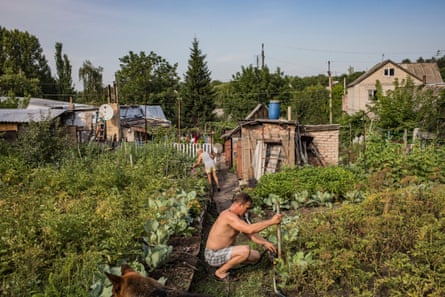 A man and a woman gardening in an allotment with some sheds in the background