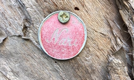 The name tag of Nari, Paul Daley’s dog, screwed into a tree