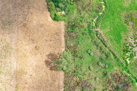 Drone photograph showing green wetlands bordering dry brown grassland