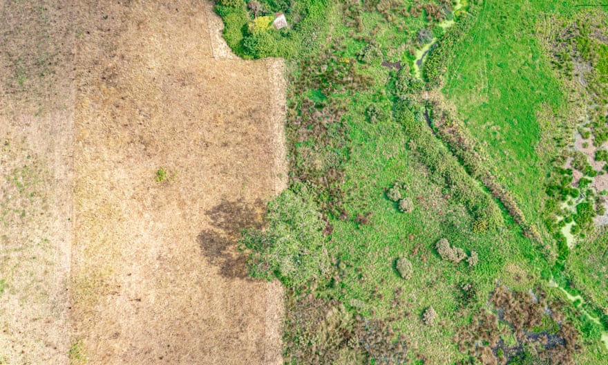 An aerial photograph shows how beavers’ construction activities on and around the River Otter have helped to maintain an area of wetland.