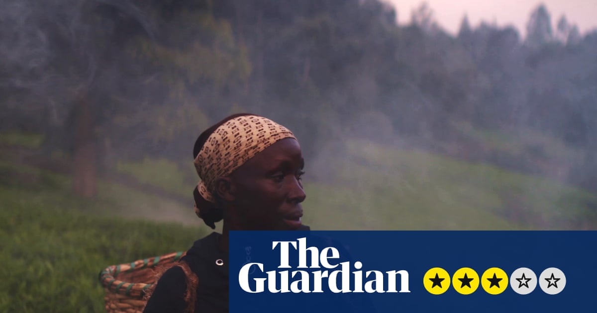 Kikuyu Land review – the colonial-era misery behind our morning cup of tea