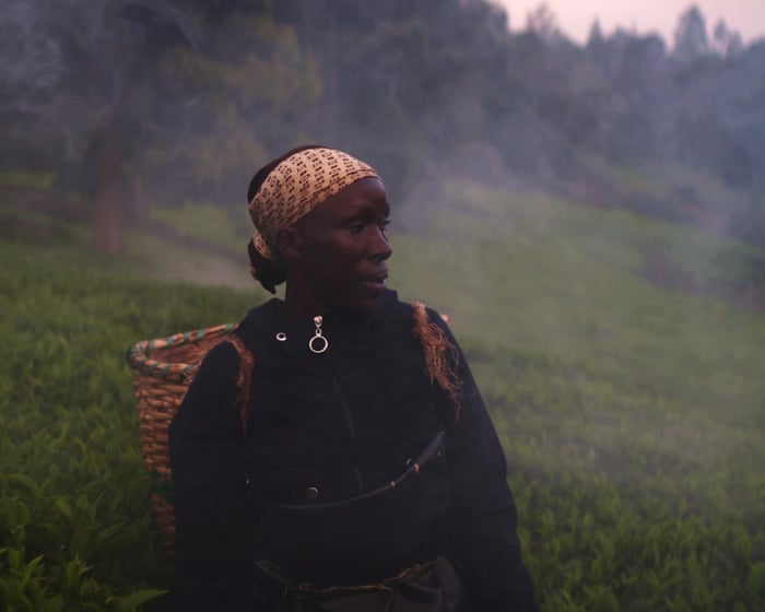 Kikuyu Land review – the colonial-era misery behind our morning cup of tea