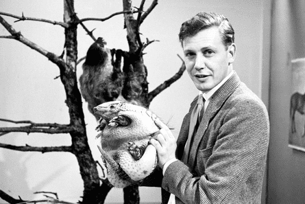 A sloth hangs from a branch at the rear, while Attenborough shows an armadillo